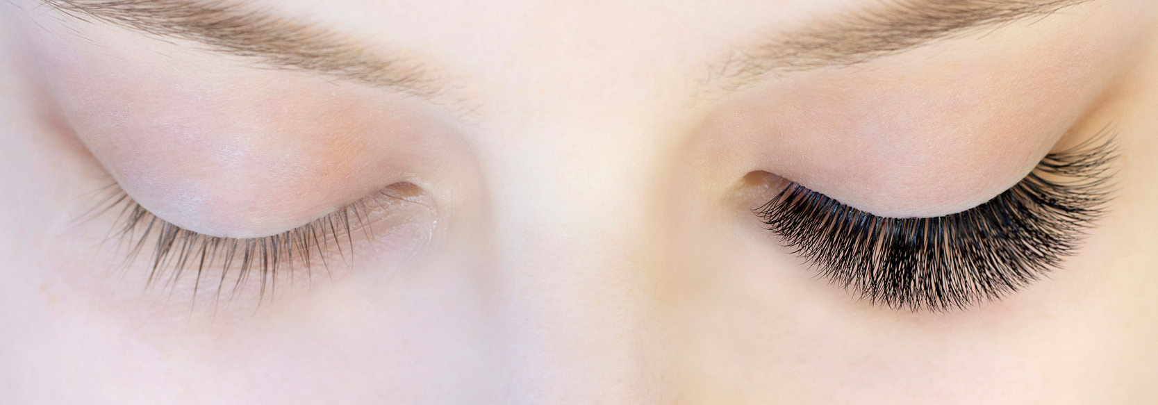 wimpern